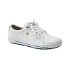 ESD safety shoe 